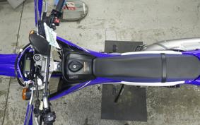 YAMAHA WR250R 2022 DG15J