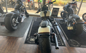 HARLEY FXSE CVO 2017 TG9