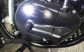 SUZUKI TS185 2024
