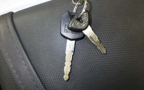 KAWASAKI Z250 2020 ER250C