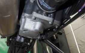 KAWASAKI NINJA 250 EX250P