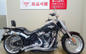HARLEY FLFBS 2019 YGK