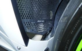 KAWASAKI NINJA 400 2021 EX400G