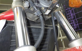 YAMAHA ZEAL 3YX