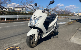 YAMAHA MAJESTYS SG28J