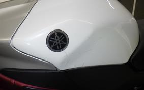 YAMAHA YZF-R1 2009 RN24J