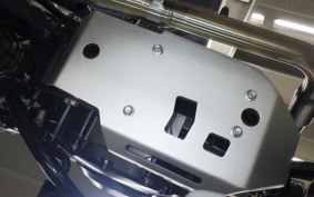 OTHER +UNREGISTERED MODEL by BDS250 2017