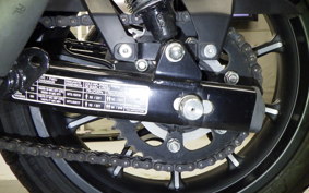 OTHER +ENFIELD ﾒﾃｵ350 2024