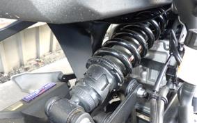 KAWASAKI ZX-4R SE 2025 ZX400P