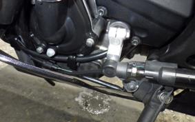 KAWASAKI NINJA ZX-6R A 2019 ZX636G