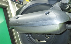 HONDA ZOOMER 2017 AF58