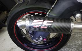 TRIUMPH DAYTONA 675 R 2015