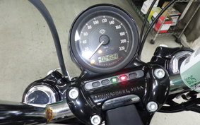 HARLEY XL1200XS 2019