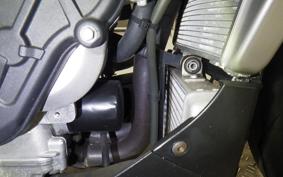 APRILIA TUONO V4 1100 2021