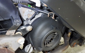 YAMAHA AXIS 125 TREET 2019 SE53J