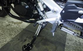 BMW F900XR 2023