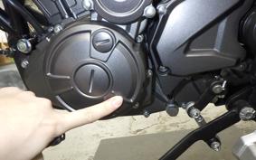 BENELLI TRK251