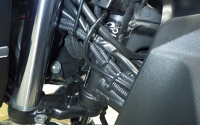 KAWASAKI Z250
