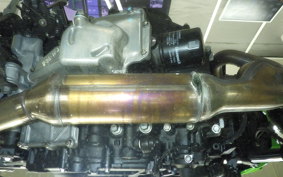 KAWASAKI Z250 Gen.2 2023 EX250Y