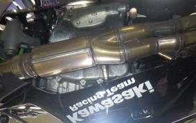 KAWASAKI NINJA ZX-6R A 2019 ZX636G