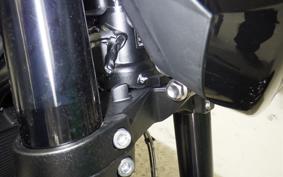 TRIUMPH TRIDENT 800 2026
