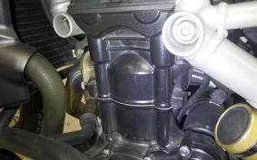 TRIUMPH TIGER 800 XC 2011