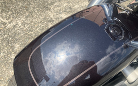 HARLEY FLFBS 2021 YGK