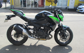 KAWASAKI Z250ABS
