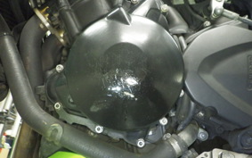 TRIUMPH STREET TRIPLE 2007