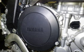 YAMAHA WR250X 2021 DG15J