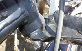 OTHER UNREGISTERED MODEL by BDS250