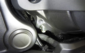 HONDA REBEL 1100 DCT 2024 SC83