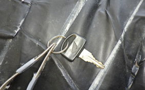 HONDA GYRO CANOPY TA03