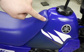 YAMAHA PW50 2021 3PT