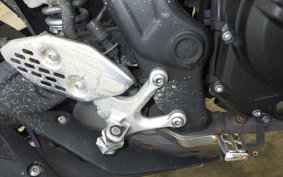 YAMAHA YZF-R25