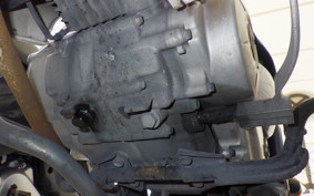 HONDA C110 SUPER CUB