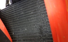 YAMAHA TZR250 R 2009 3XV