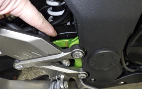 KAWASAKI NINJA 250 SL