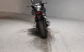 YAMAHA FZ1 FAZER 2008 RN21J