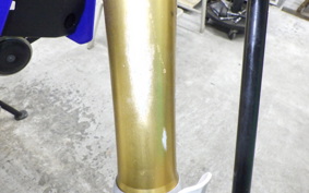 YAMAHA WR250R 1996 DG15J