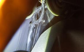 HONDA ｸﾘｯｸ110 2026