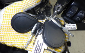 HARLEY FXDRS1870 2019