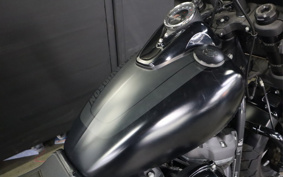 HARLEY FXFB 2019 YKJ