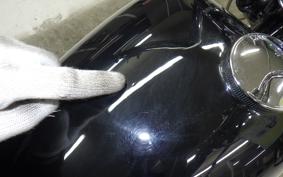 OTHER +UNREGISTERED MODEL by BDS1300 2006