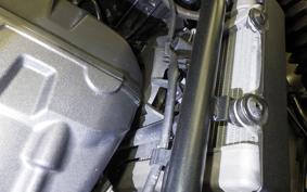 HONDA CL250-2 2019 MC57