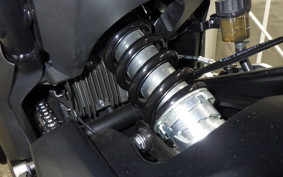 TRIUMPH TRIDENT 660 2021