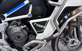 TRIUMPH TIGER EXPLORER 2025 TAP23V
