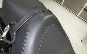 HARLEY XL883N 2020