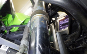 KAWASAKI NINJA 250 EX250L