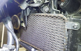 SUZUKI Vｽﾄﾛｰﾑ250A 1995